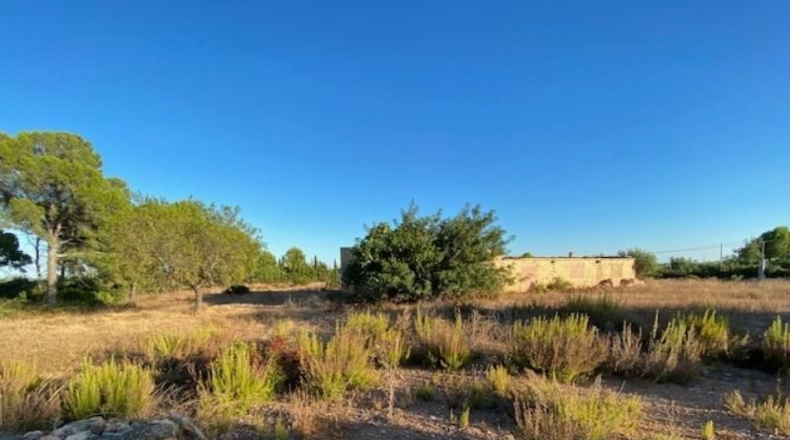 Tarragona - l'Ampolla - 26161m2