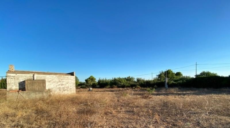 Tarragona - l'Ampolla - 26161m2