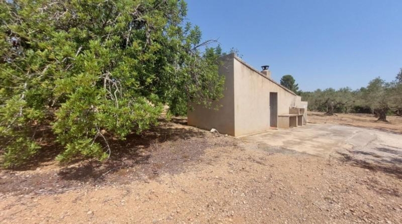 Tarragona - l'Ampolla - 27542m2