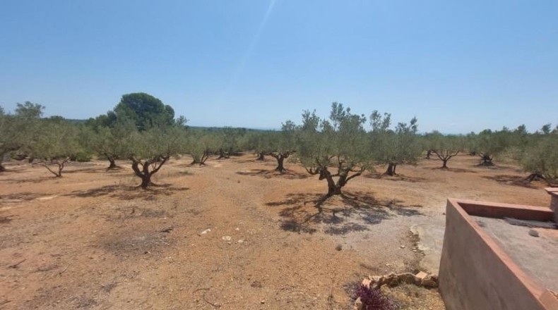 Tarragona - l'Ampolla - 27542m2