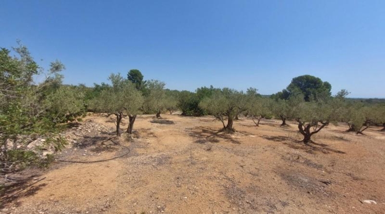 Tarragona - l'Ampolla - 27542m2