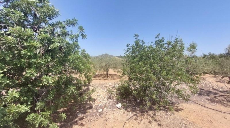 Tarragona - l'Ampolla - 27542m2