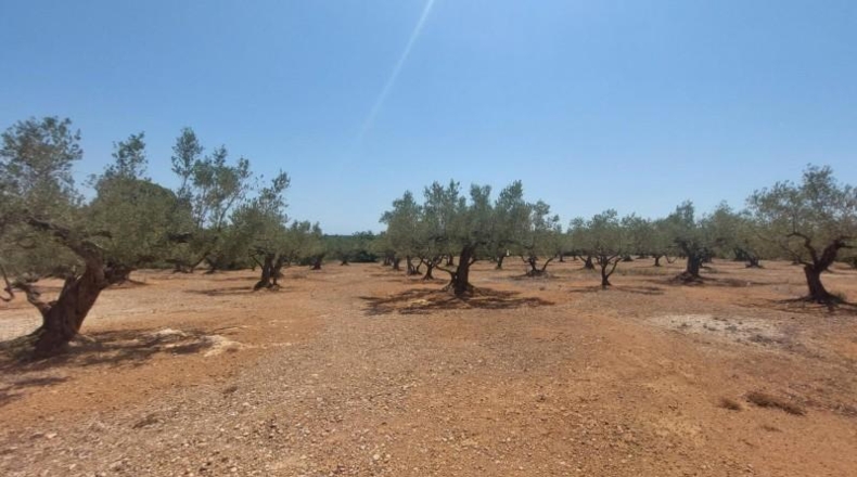 Tarragona - l'Ampolla - 27542m2