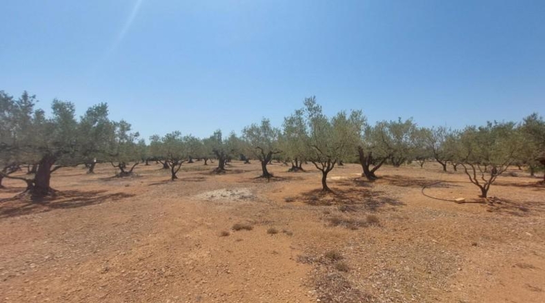 Tarragona - l'Ampolla - 27542m2