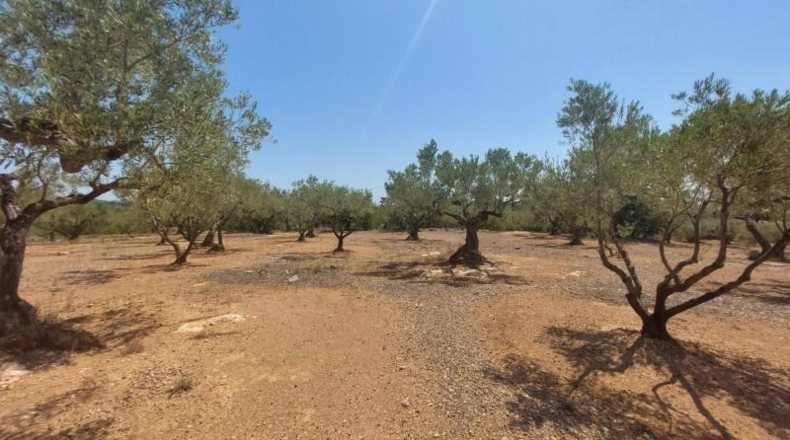 Tarragona - l'Ampolla - 27542m2