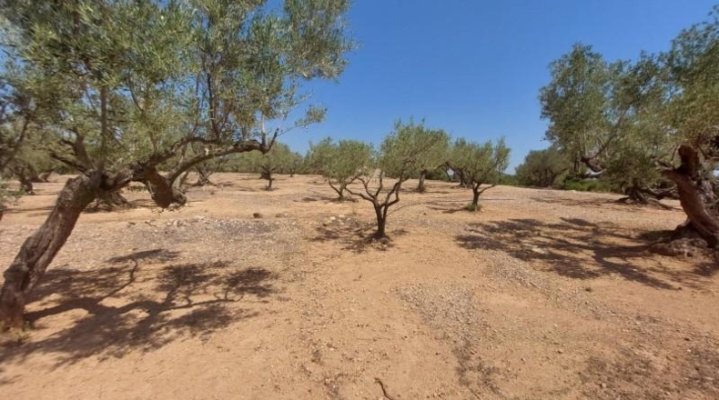 Tarragona - l'Ampolla - 27542m2