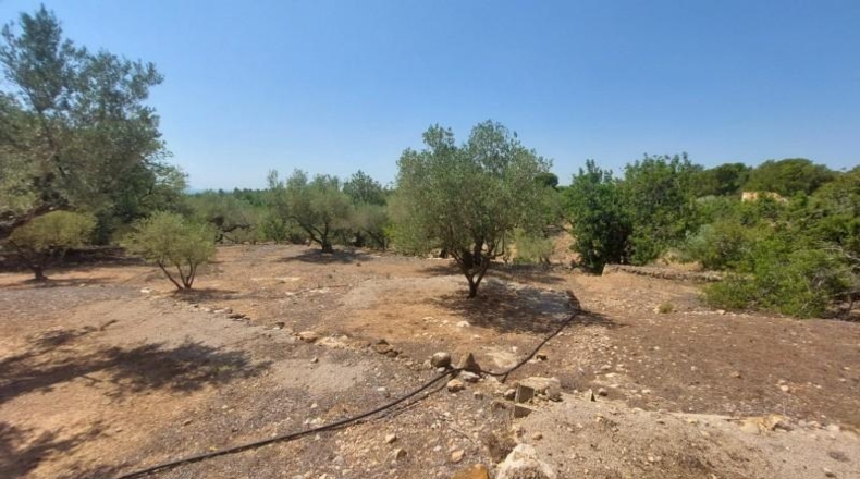 Tarragona - l'Ampolla - 27542m2