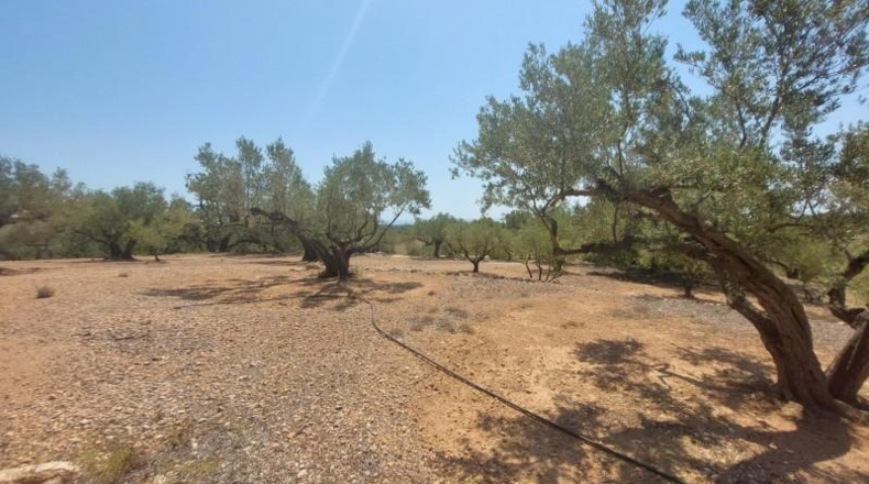 Tarragona - l'Ampolla - 27542m2