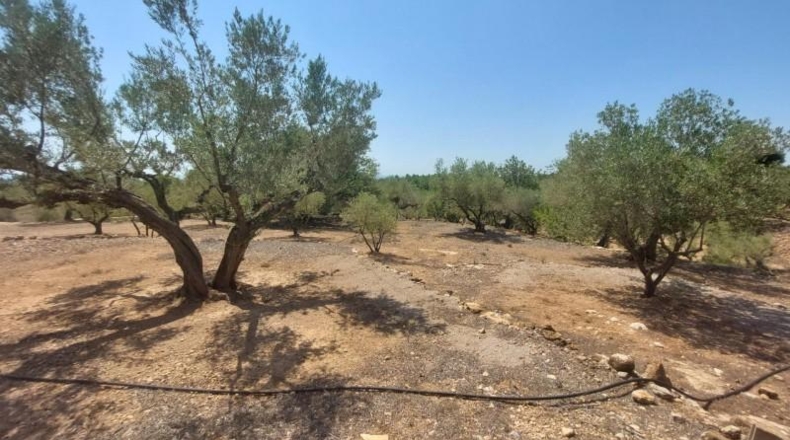 Tarragona - l'Ampolla - 27542m2