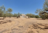 Detached villa with land for sale on España, l'Ampolla, ref: TR417176 photo