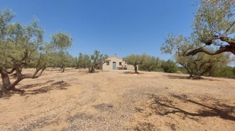 Tarragona - l'Ampolla - 27542m2