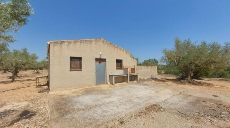 Tarragona - l'Ampolla - 27542m2