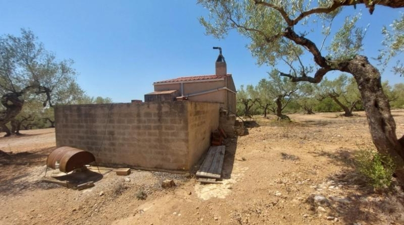 Tarragona - l'Ampolla - 27542m2