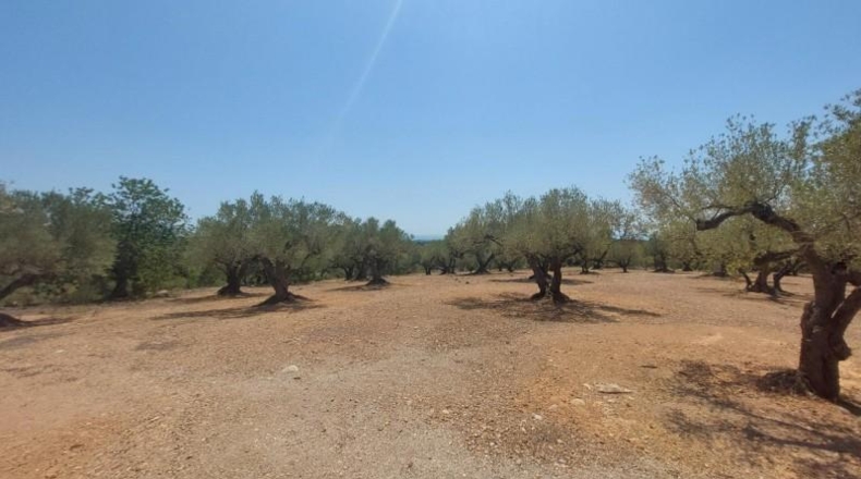 Tarragona - l'Ampolla - 27542m2