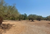 Detached villa with land for sale on España, l'Ampolla, ref: TR417176 photo