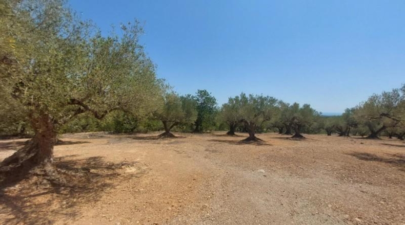 Tarragona - l'Ampolla - 27542m2
