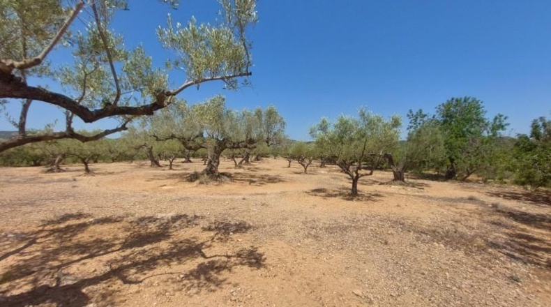 Tarragona - l'Ampolla - 27542m2