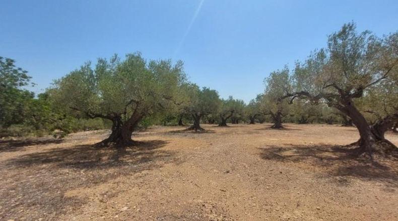 Tarragona - l'Ampolla - 27542m2