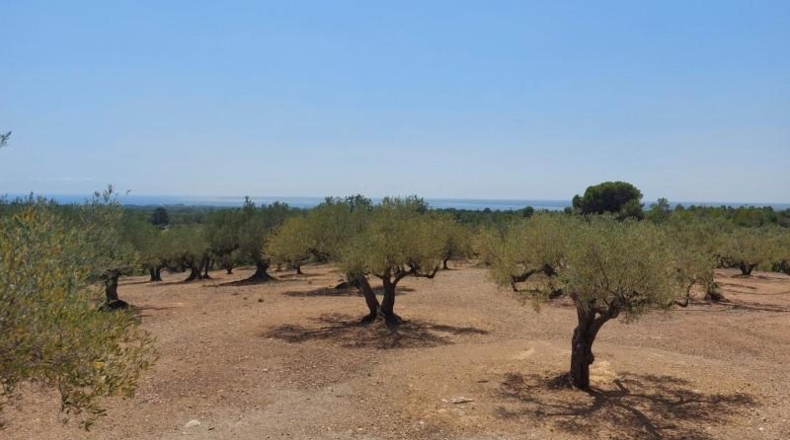 Tarragona - l'Ampolla - 27542m2