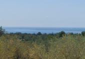 Detached villa with land for sale on España, l'Ampolla, ref: TR417176 photo