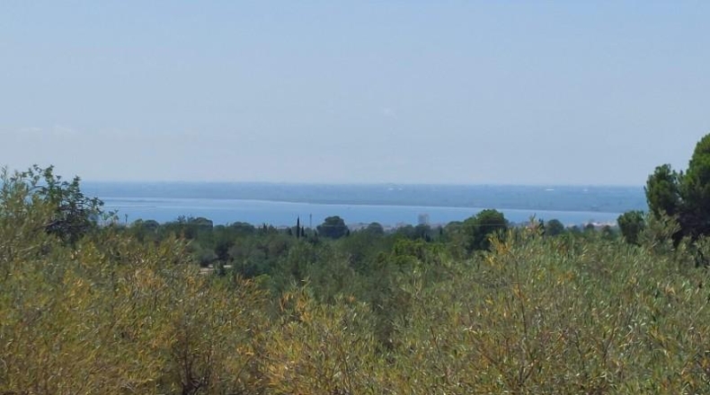 Tarragona - l'Ampolla - 27542m2