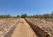 Detached villa with land for sale on España, l'Ampolla, ref: TR417176 photo