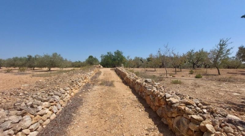 Tarragona - l'Ampolla - 27542m2