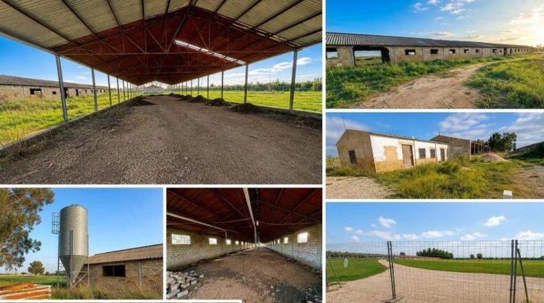 Seville - Arahal - 45932m2