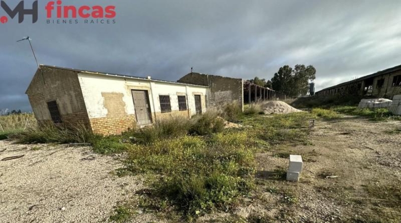 Seville - Arahal - 45932m2