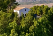 Country house with land for sale on España, Villena, ref: TR417180 photo