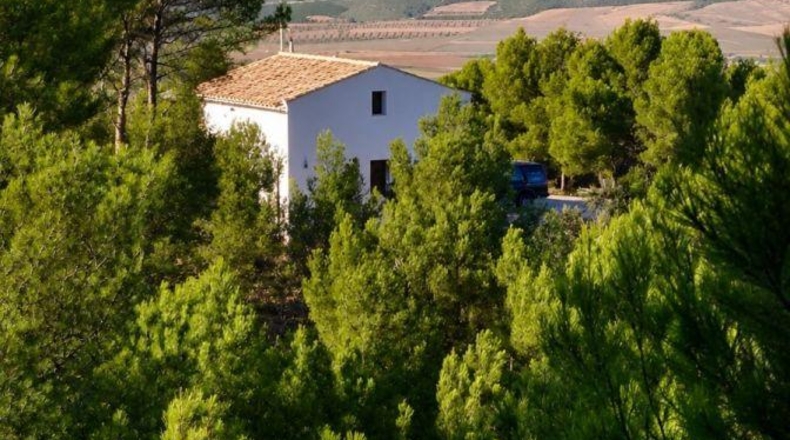 Alicante - Villena - 190000m2
