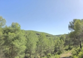 Country house with land for sale on España, Villena, ref: TR417180 photo