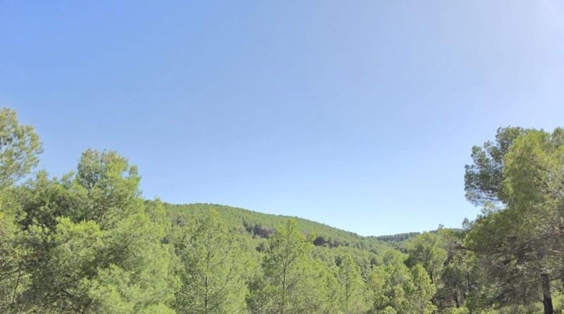 Alicante - Villena - 190000m2