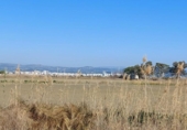 Casa de campo con terreno en venta en la España, l'Ampolla, ref: TR417185 foto
