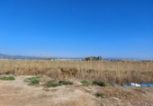Casa de campo con terreno en venta en la España, l'Ampolla, ref: TR417185 foto