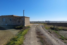 Foto 10