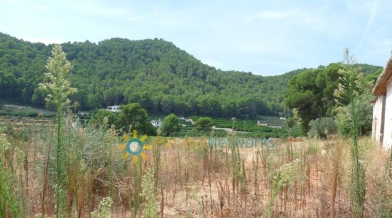Valencia - Real de Gandía - 22000m2