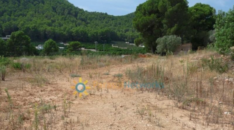 Valencia - Real de Gandía - 22000m2