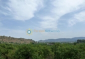 Terreno no urbanizable en venta en la España, Gandia, ref: TR328441 foto