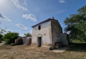 Xalet independent amb terreny en venda a la España, l'Ampolla, ref.: TR417188 foto