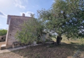 Xalet independent amb terreny en venda a la España, l'Ampolla, ref.: TR417188 foto