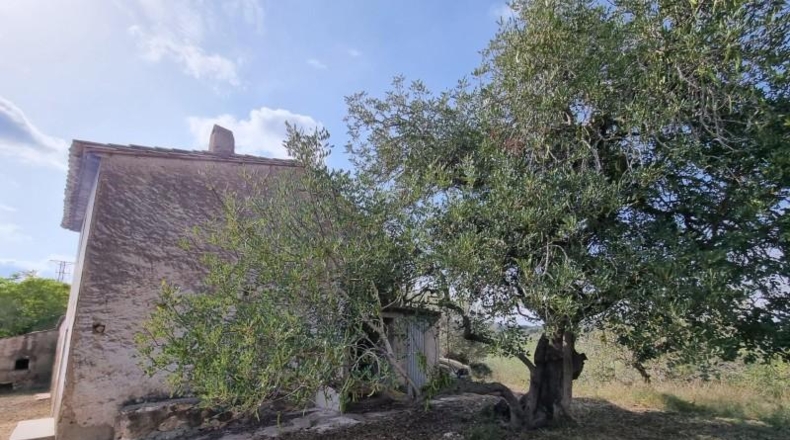Tarragona - l'Ampolla - 22496m2