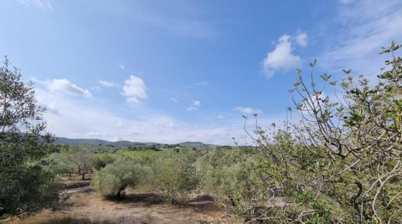 Tarragona - l'Ampolla - 22496m2