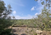 Xalet independent amb terreny en venda a la España, l'Ampolla, ref.: TR417188 foto