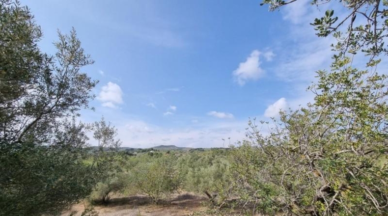 Tarragona - l'Ampolla - 22496m2