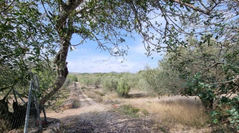 Tarragona - l'Ampolla - 22496m2