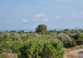 Xalet independent amb terreny en venda a la España, l'Ampolla, ref.: TR417188 foto