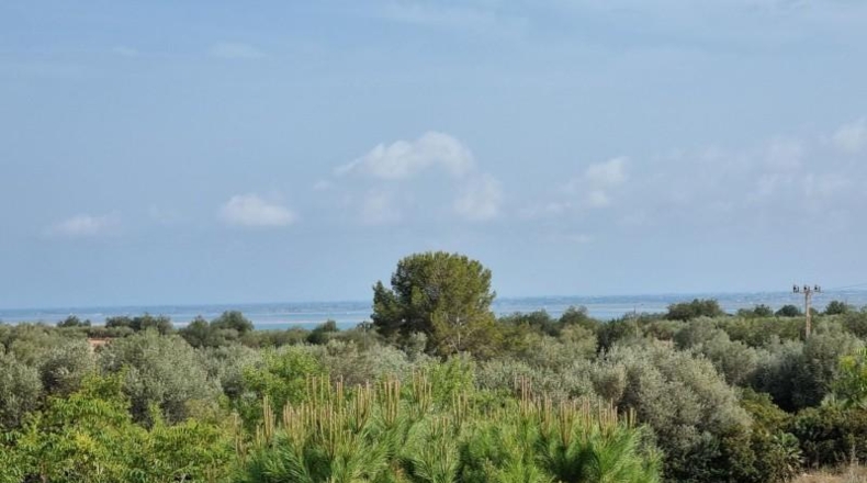 Tarragona - l'Ampolla - 22496m2