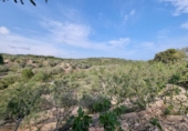 Xalet independent amb terreny en venda a la España, l'Ampolla, ref.: TR417188 foto