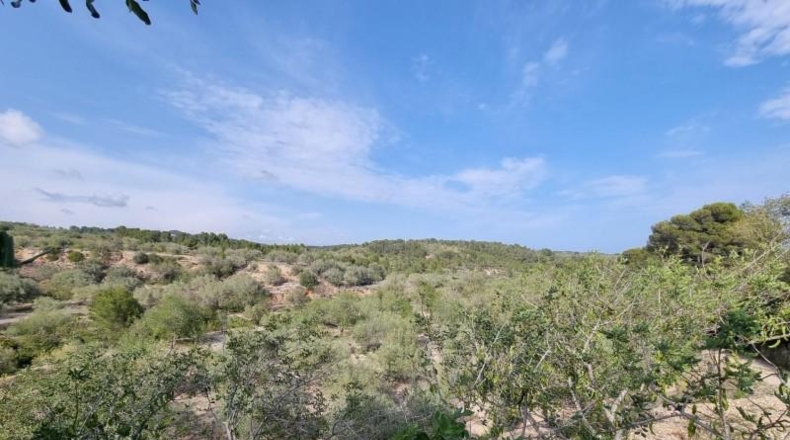 Tarragona - l'Ampolla - 22496m2